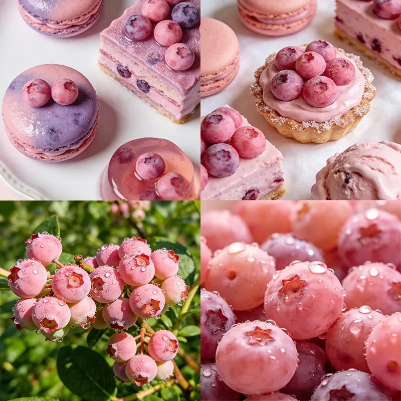 Garden Fresh Pink Blueberry Seeds